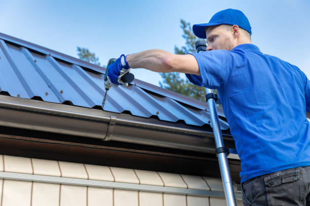Best Gutter Replacement  in Trinity, AL