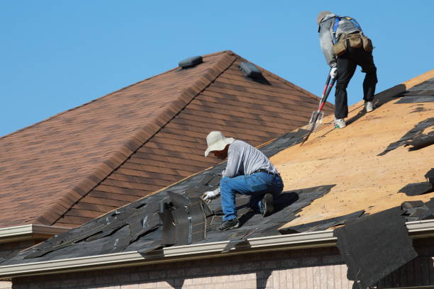 Best Cold Roofs  in Trinity, AL