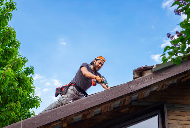 Best Hot Roofs  in Trinity, AL