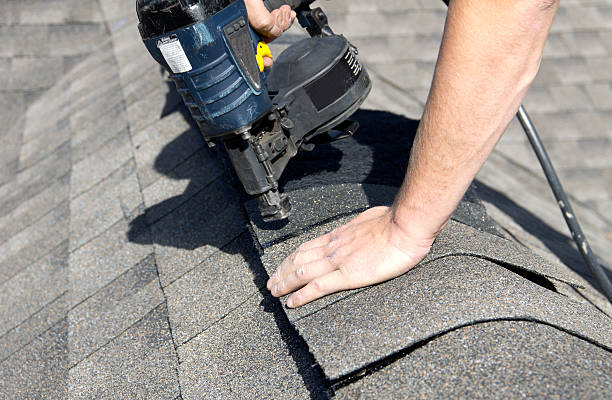 Best Roof Leak Repair  in Trinity, AL